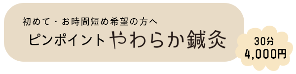 ピンポイントやわらか鍼灸